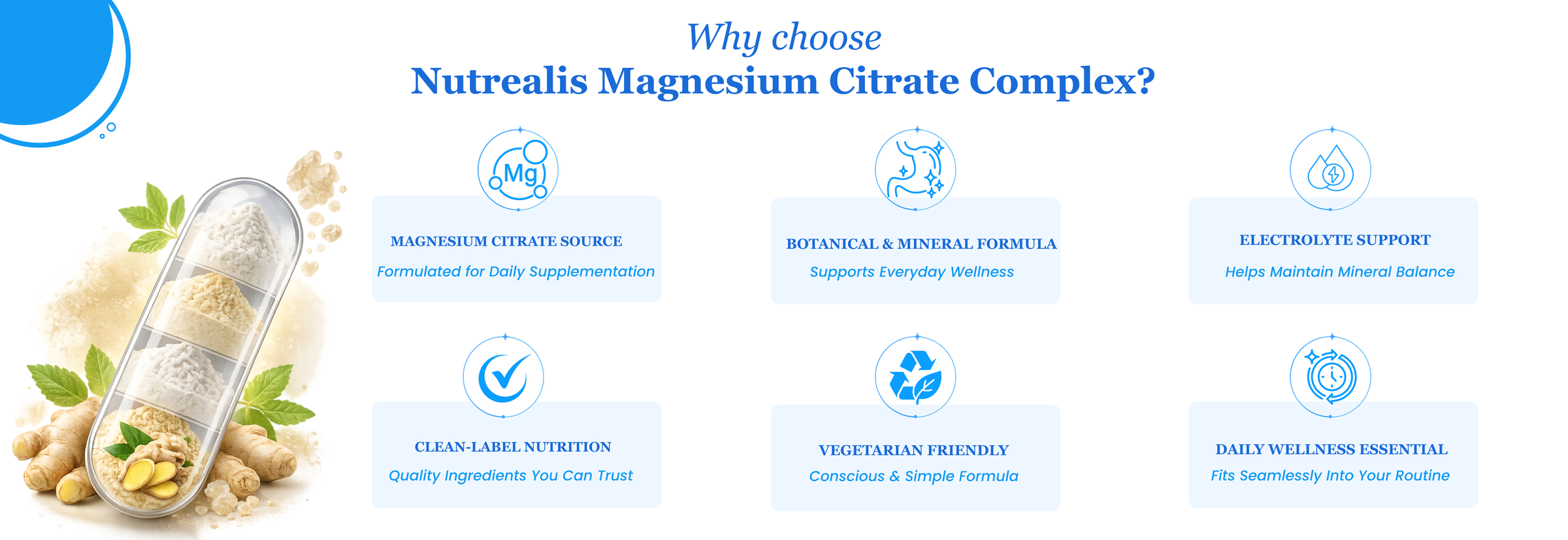 Nutrealis Magnesium Citrate Complex | With Potassium Citrate, Inulin & Ginger | Daily Magnesium & Electrolyte Support | 120 Veg Capsules