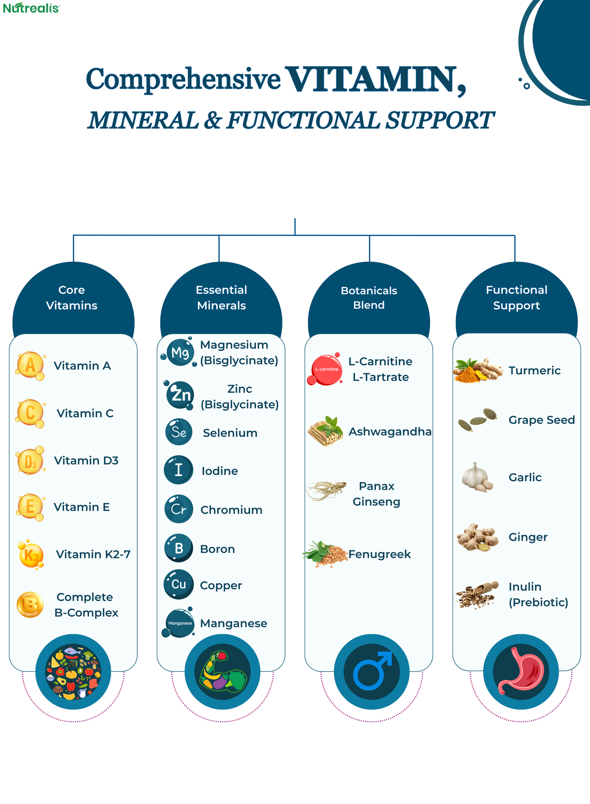 Nutrealis Multivitamins & Minerals for Men | 13 Vitamins, 8 Minerals, L-Carnitine, Ashwagandha & Fenugreek | Daily Nutrition for Active Lifestyles | 60 Tablets