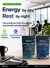 Office Professional Bundle